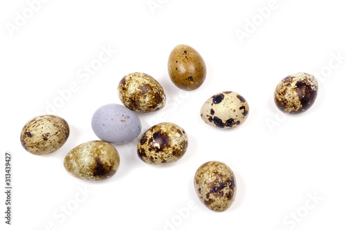 Spotted quail eggs on a white surface