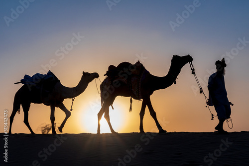Silhouette of a man walking with his camels, Thar desert, Rajasthan, India