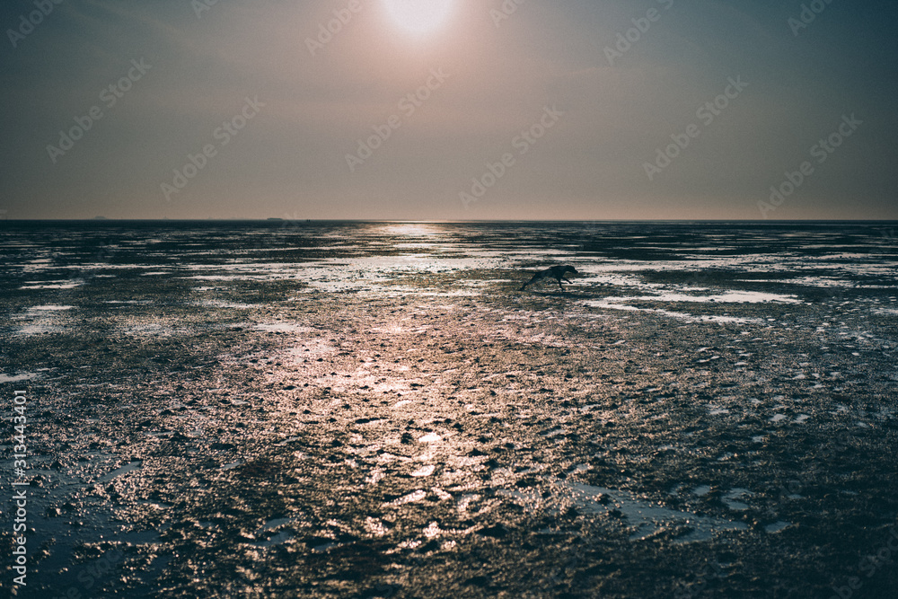 Fototapeta premium Sonnenuntergang Nordsee