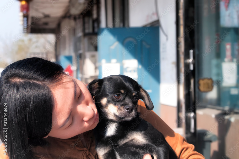 A chinese woman holding and kissing a small dog A chinese woman holding and kissing a small dog