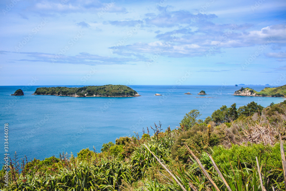Fototapeta premium beautiful scenery on the way to Cathedral Cove on Coromandel Peninsula, North Island, New Zealand