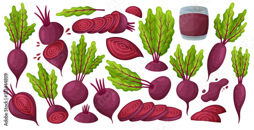 Vegetable of beet vector cartoon set icon. Vector illustration beetroot root on white background .Isolated cartoon set icon food of beet. photo