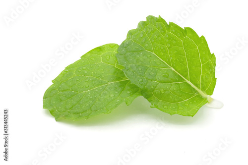 Fresh spearmint leaves isolated on white background