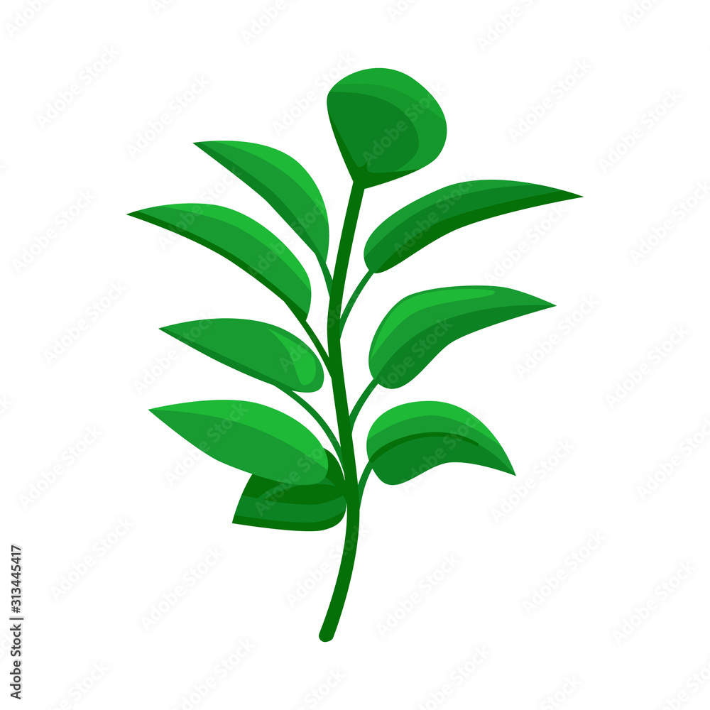 Vector design of leaf and coffee sign. Collection of leaf and plant stock symbol for web.