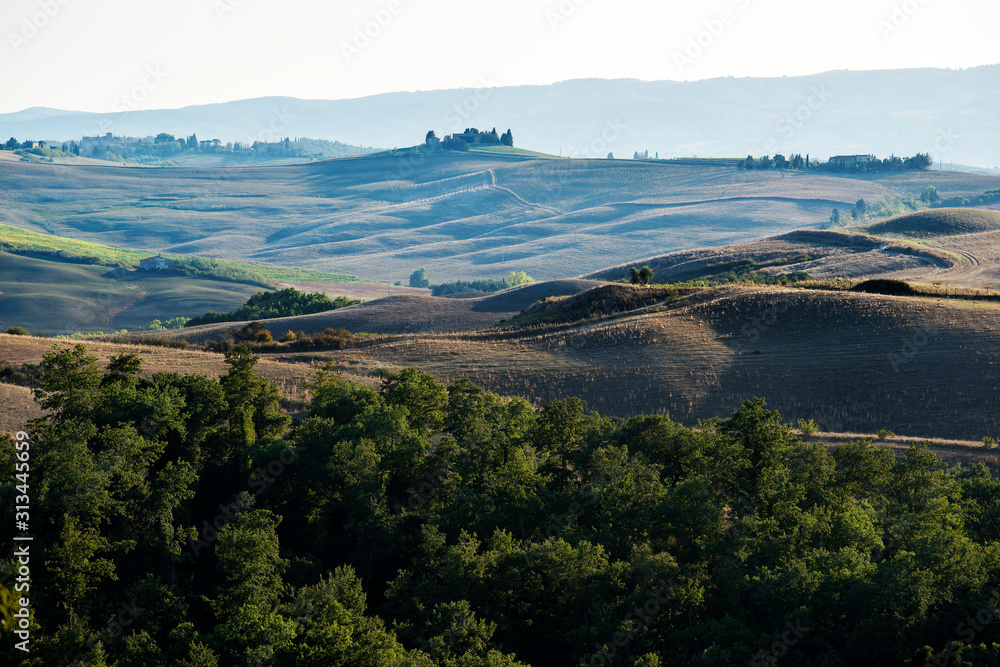 Fields cultivated in late summer on the Sienese hills