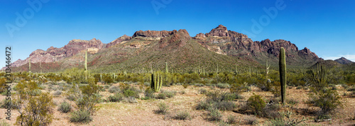 Panoramic View of Ajo Mountains in Organ Pipe Cactus National Monument
