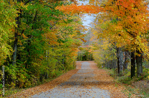 553-27 Birchwood Road Autumn