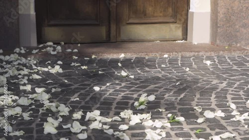  Pigeons on wedding