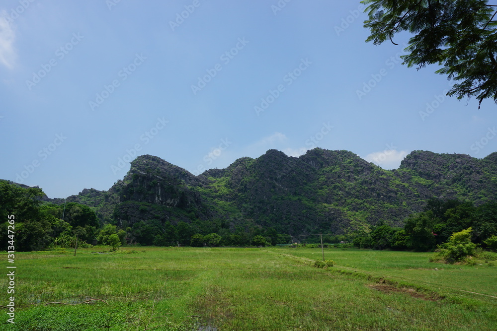 Naklejka premium Landscape in Vietnam