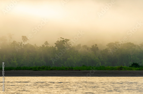 Sunrise by the Amazon river with the rainforest in the fog. The Amazon river basin comprise the countries of Brazil  Bolivia  Colombia  Ecuador  Guyana  Peru  Suriname and Venezuela.