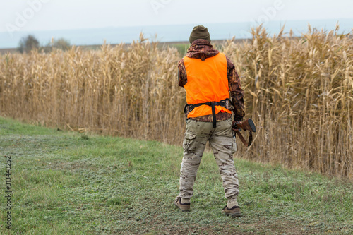 Hunting period, autumn season open. A hunter with a gun in his hands in hunting clothes in the autumn forest in search of a trophy. A man stands with weapons and hunting dogs tracking down the game.