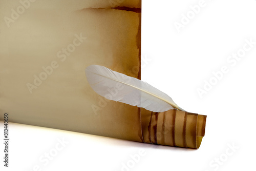 Old scroll and goose feather on a white background
