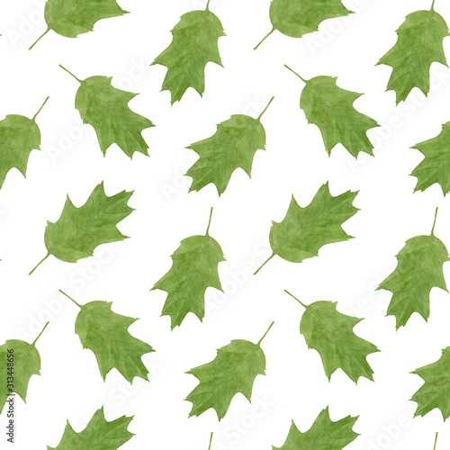 Oak tree green leaves, watercolor hand drawn botanical summer seamless pattern isolated on white background. Design elements for fabric, card, wrapping paper, decoration etc.