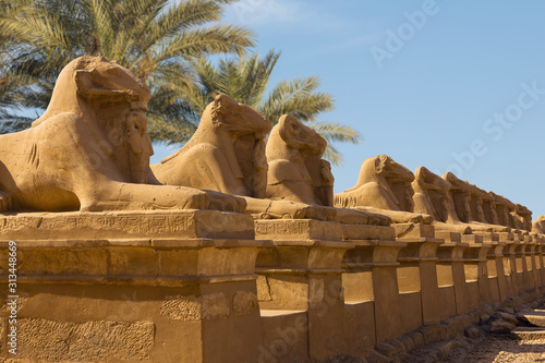 Karnak Temple sphinxes alley. The largest temple complex of antiquity in the world. UNESCO World Heritage.