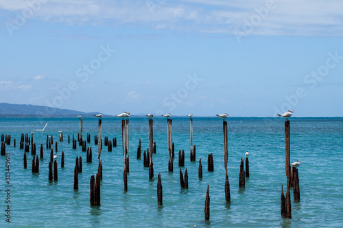 Stunning beauty of Caribbean coast, Costa Rica © jbphotographylt