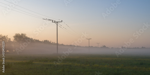 Power poles on a fog covered field