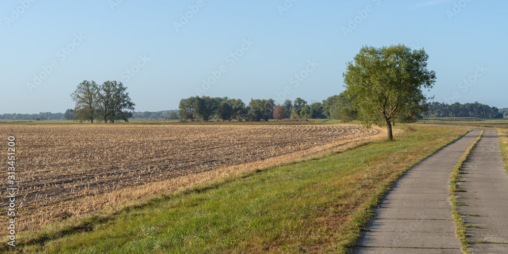 Field path next to a harvested field in Brandenburg