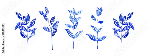 Set of hand drawn wild herbs. Sketch botanical illustration. Painting by blue watercolor plants isolated on white background. Aquarelle art design elements