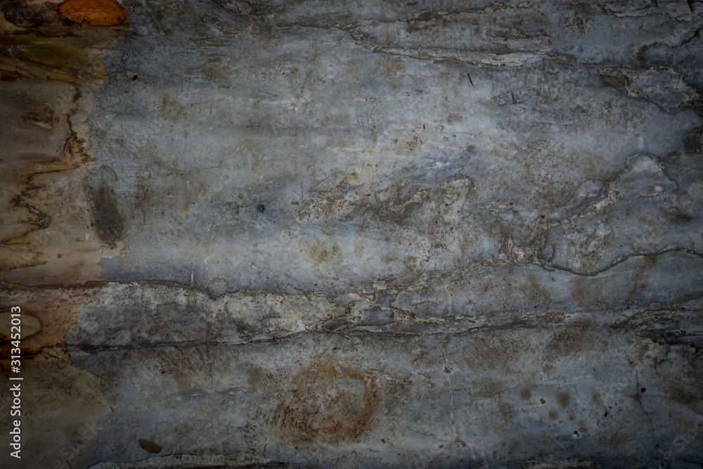 Obraz premium Textured marble wall use for background.