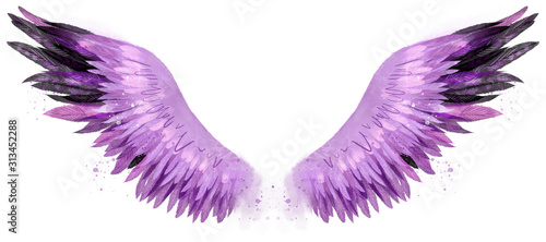 beautiful magic watercolor pink purple black wings
