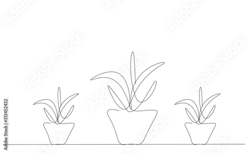 Plants in pots silhouette line drawing vector illustration