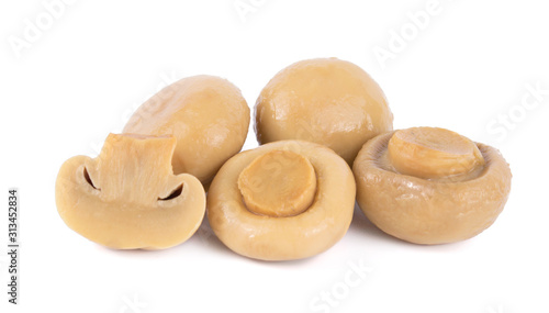 group of tasty Pickled marinated mushrooms champignon isolated on white background