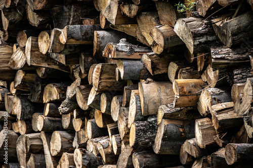 A pile of cut wooden logs (used as fuel to heat a house and as firewood)