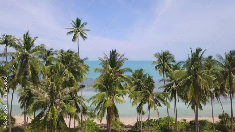 Coconut Palm Tree Coast Line with Sandy Beach by Tropical Sea in Thailand. Aerial View Coconut Palm Tree Coast Line with Sandy Beach by Tropical Sea in Thailand. Aerial View