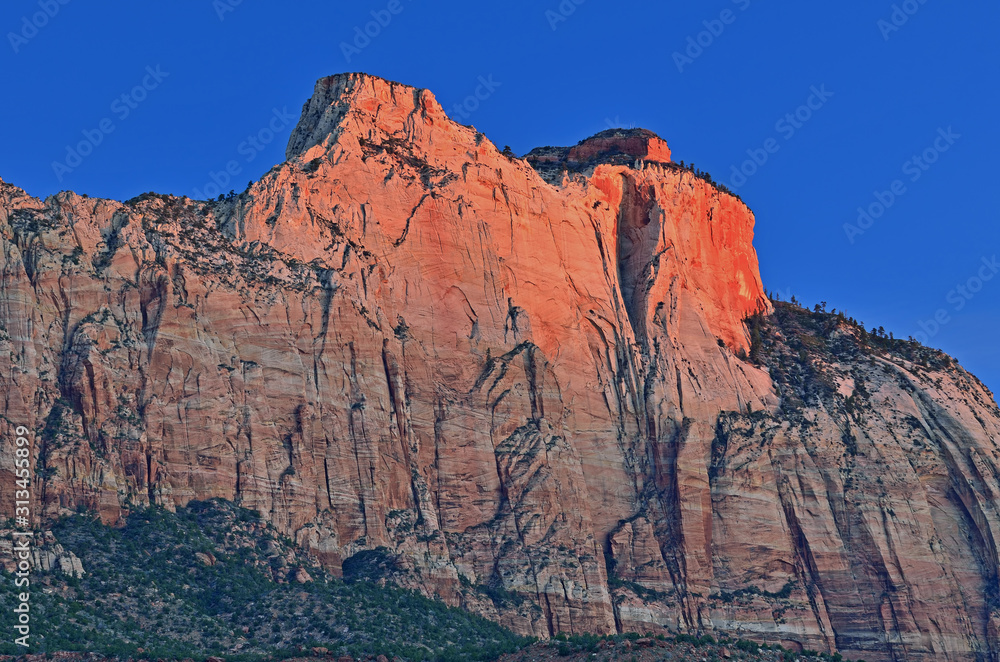 Naklejka premium Landscape of stone cliff at sunrise, Zion National Park, Utah, USA