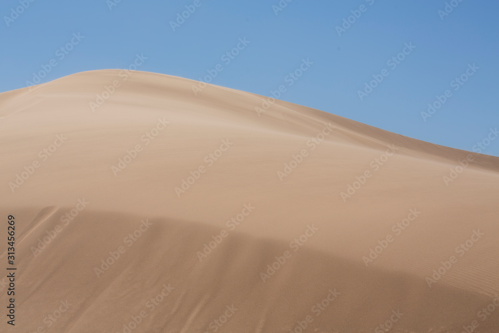 sand dune field at the Imperial Sand Dunes Recreation Area