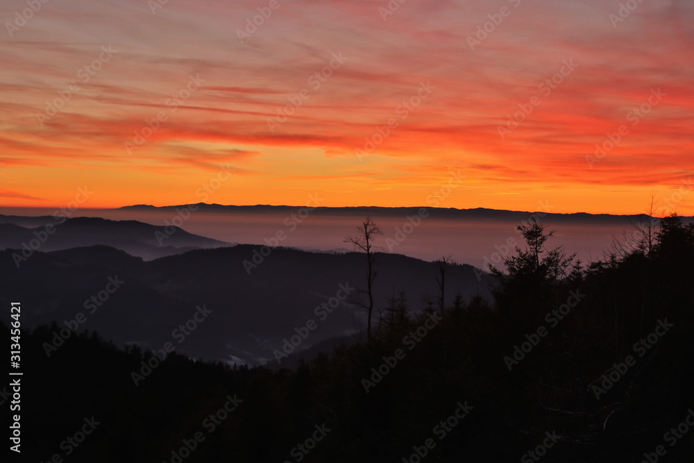 Naklejka premium beautiful Black Forest at sunset - Mummelsee, Germany