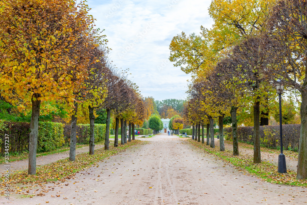Naklejka premium The alley is surrounded by autumn trees. Golden autumn is in the old Park. Kuskovo, Moscow, Russia.