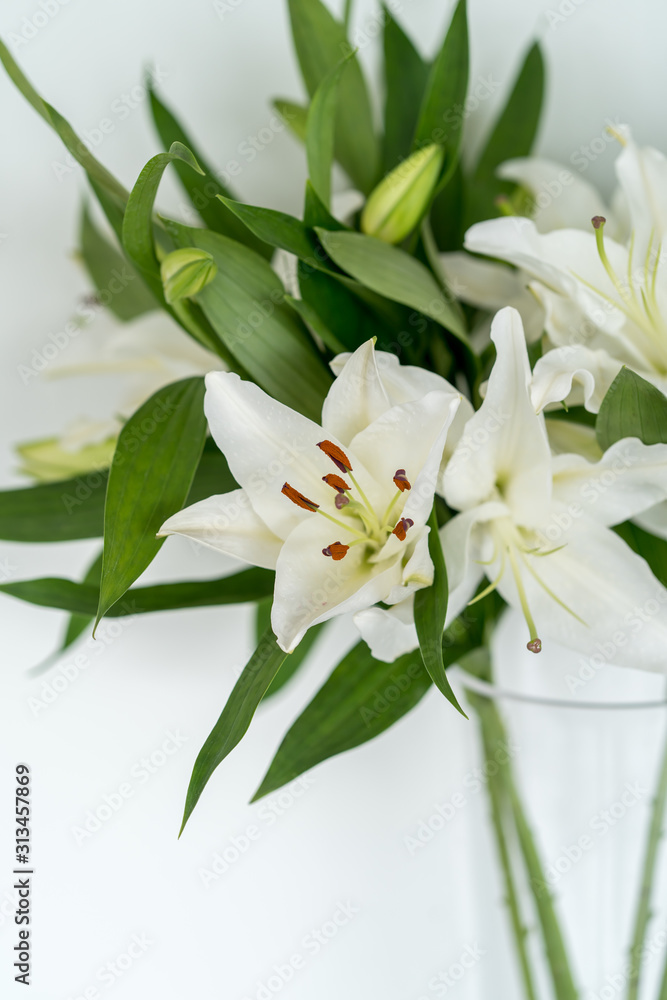 Fototapeta premium Beautiful blooming lily at white wall
