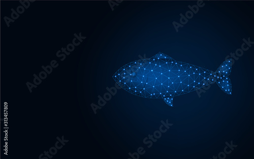 Fish polygonal vector illustration