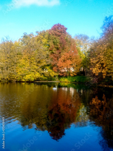 Reflection of Autumn and Fall Colored Trees in Lake Water