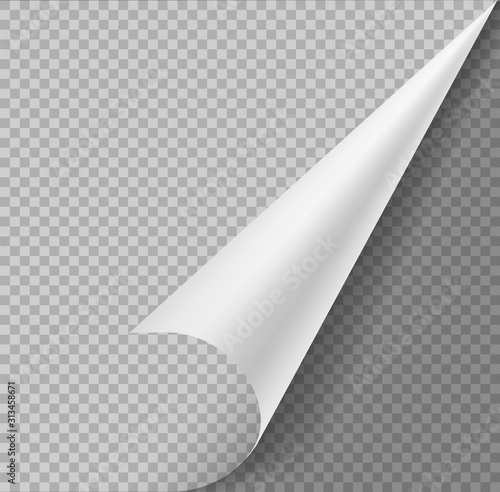 Curled corner. paper blank page or sticker with folded turning flipped corners vector abstract concept