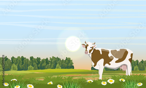 Cow in the spring meadow. Green trees, grass and white flowers with yellow centers. Camomile field. Realistic vector landscape