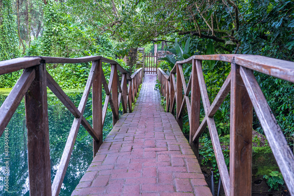 Arched bridge on a lake, Tanzania, Africa. Footbridge over a pond Arched bridge on a lake, Tanzania, Africa. Footbridge over a pond