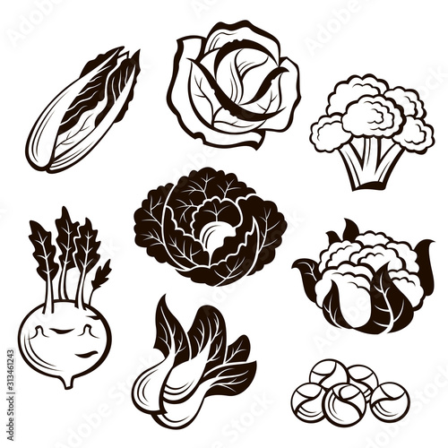 collection of various black cabbage images isolated on white background