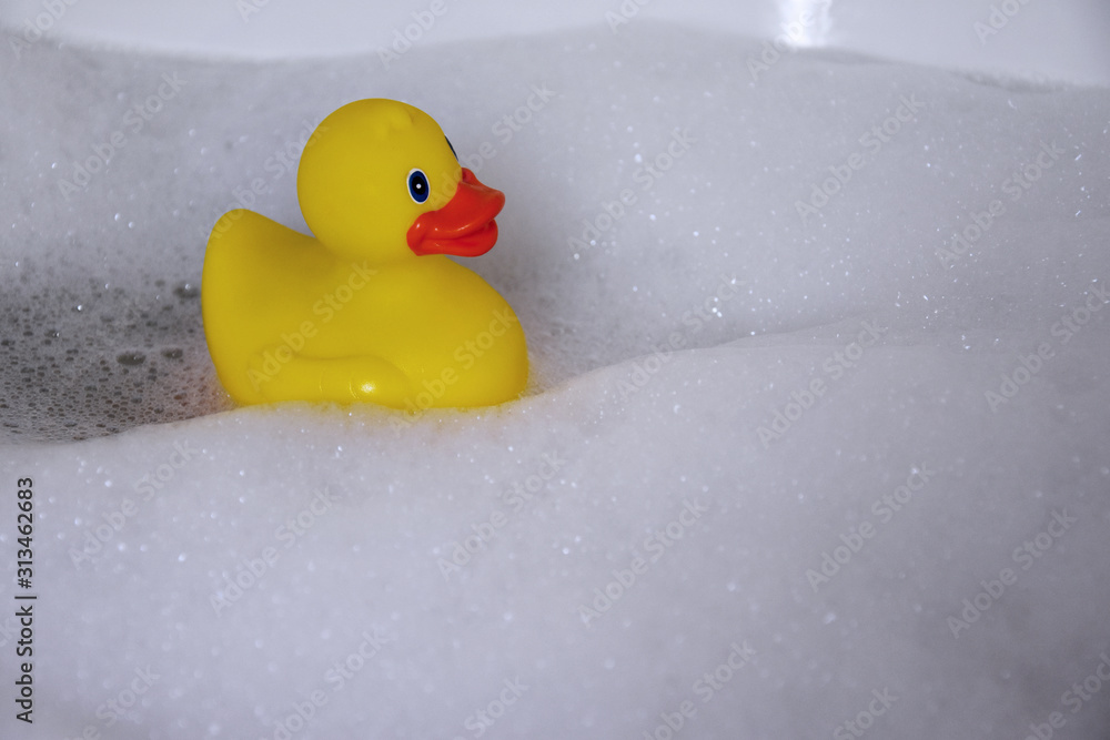 Yellow plastic duck in the bath stock images. Bath with foam images. Bath with duck. Yellow rubber duck in the bath stock images Yellow plastic duck in the bath stock images. Bath with foam images. Bath with duck. Yellow rubber duck in the bath stock images