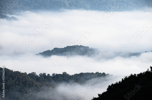 Foggy Morning in the Mountain Valleys
