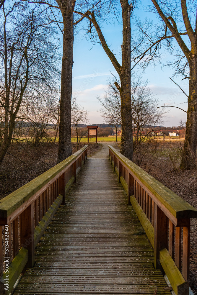 Board Walkway in a typical moorland with hiking trail