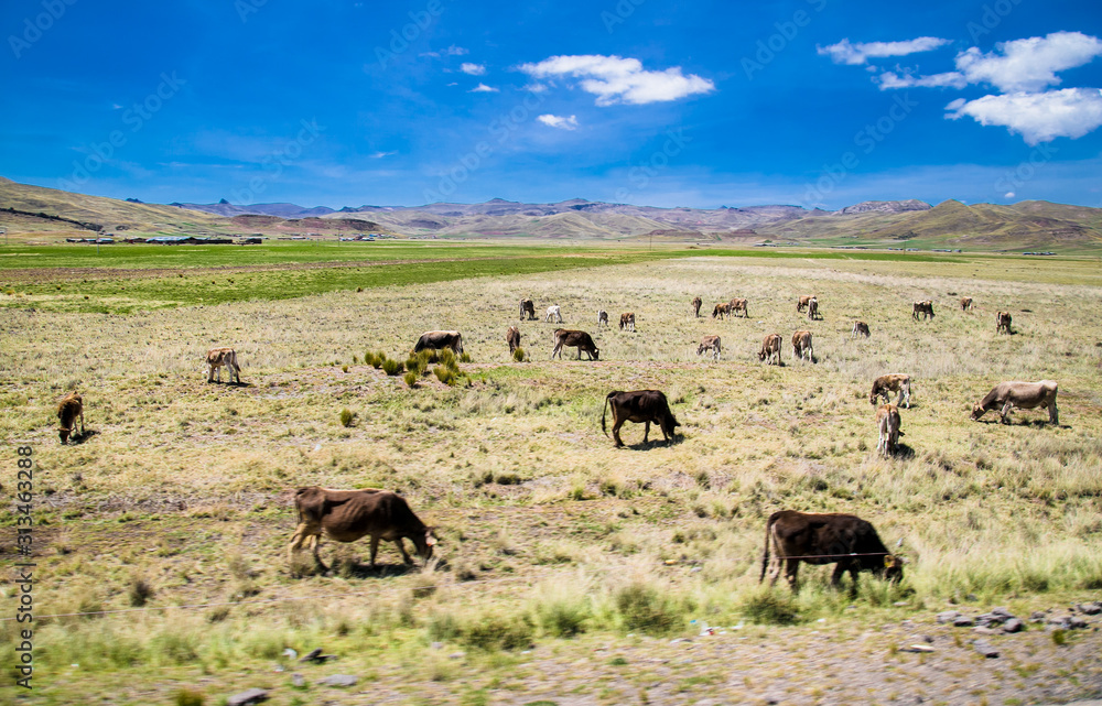 Beautiful landscapes on the road between Puno and Cosco , Peru.