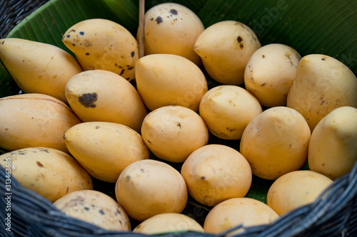 ripe mango in wooden basket.