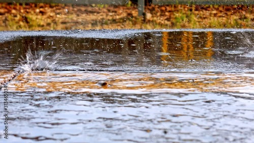 Wallpaper Mural View on the a heavy rain on the concrete. Torontodigital.ca