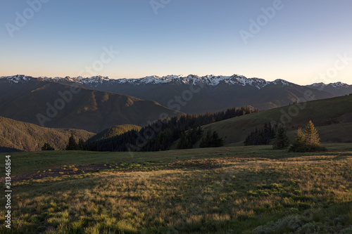 Panoramic View of Hurricane Ridge, mountainous area in Olympic National Park, Washington. Pacific Northwest Mountains, Protected National Forest Area, Scenic Mountain View, Ridges and Peaks © Cedar