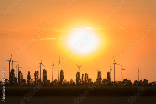 Aschersleben, Germany: Silhouettes of wind turbines and trees back-lit by low standing sun photo