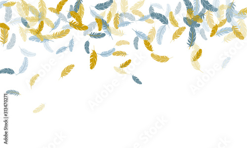 Detailed majestic feather on white design.