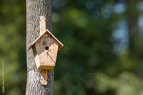 Birdhouse is attached to tree in forest. Blurred background copy space for text