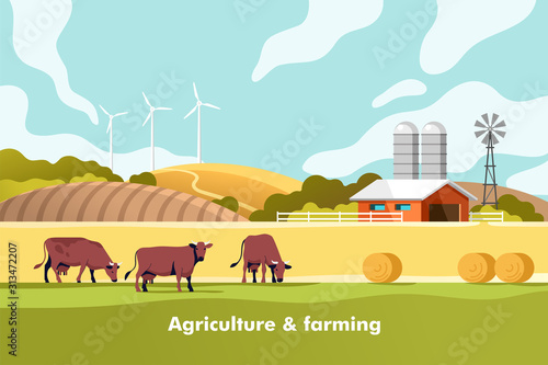 Agriculture and Farming. Agribusiness. Rural landscape. Vector illustration for infographic, websites and print media.